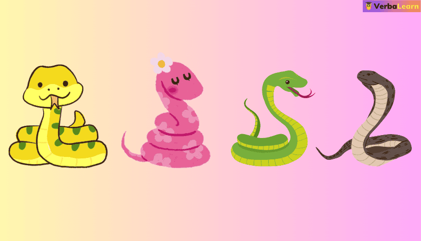 Gặp rắn theo màu sắc
