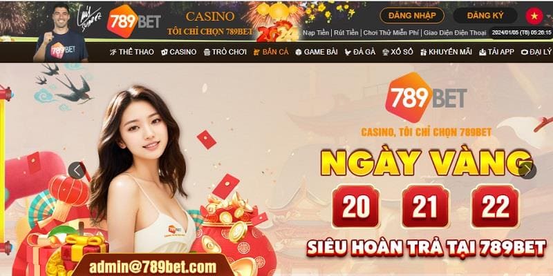 Tổng quan về thương hiệu giải trí online 789bet