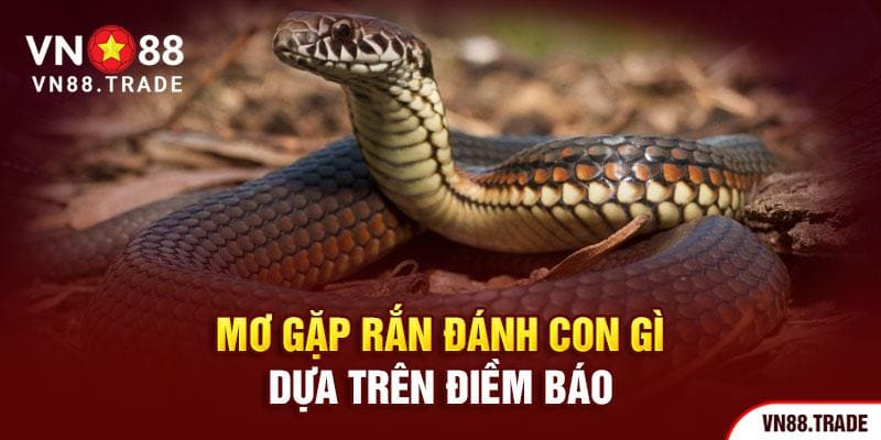 Mơ gặp rắn đánh con gì