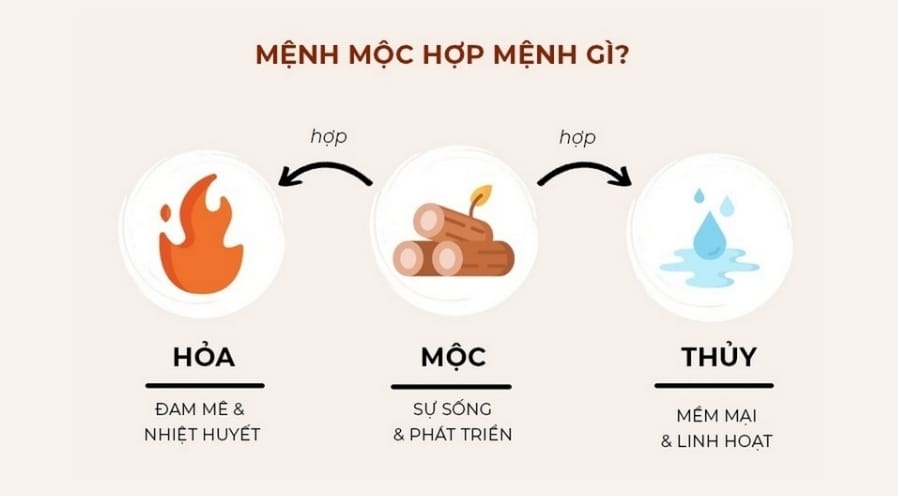 Người mệnh Mộc hợp với mệnh nào để gặp nhiều may mắn?