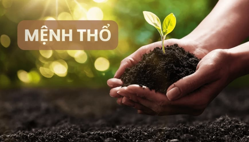 Tổng quan về người mang hành Thổ