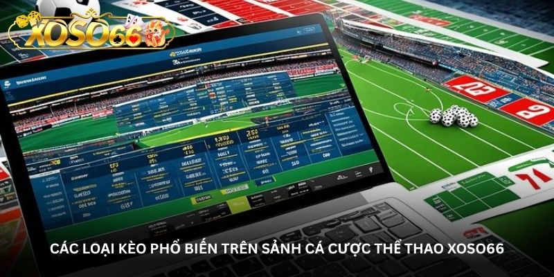 Các loại kèo phổ biến trên sảnh cá cược thể thao Xoso66