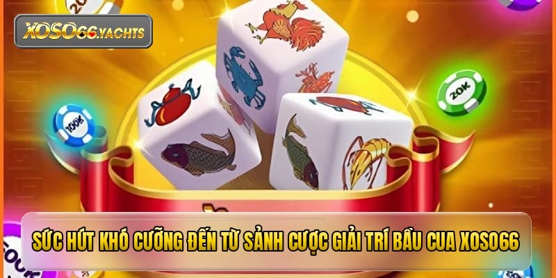 Sức hút khó cưỡng đến từ sảnh cược giải trí bầu cua xoso66