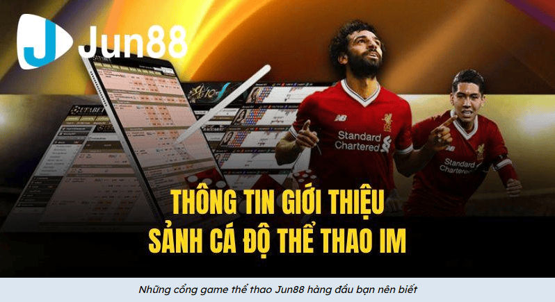 Trải nghiệm sử dụng: Giao diện, bảng tỷ lệ và dữ liệu trực tiếp