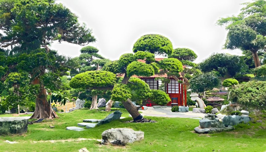 Ý nghĩa phong thủy và vị trí đặt Tùng La Hán